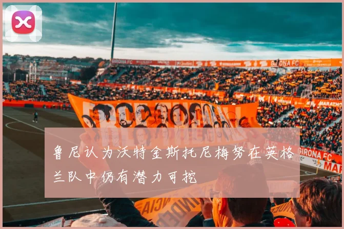 鲁尼认为沃特金斯托尼梅努在英格兰队中仍有潜力可挖