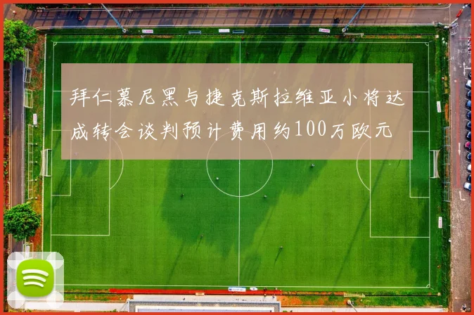 拜仁慕尼黑与捷克斯拉维亚小将达成转会谈判预计费用约100万欧元